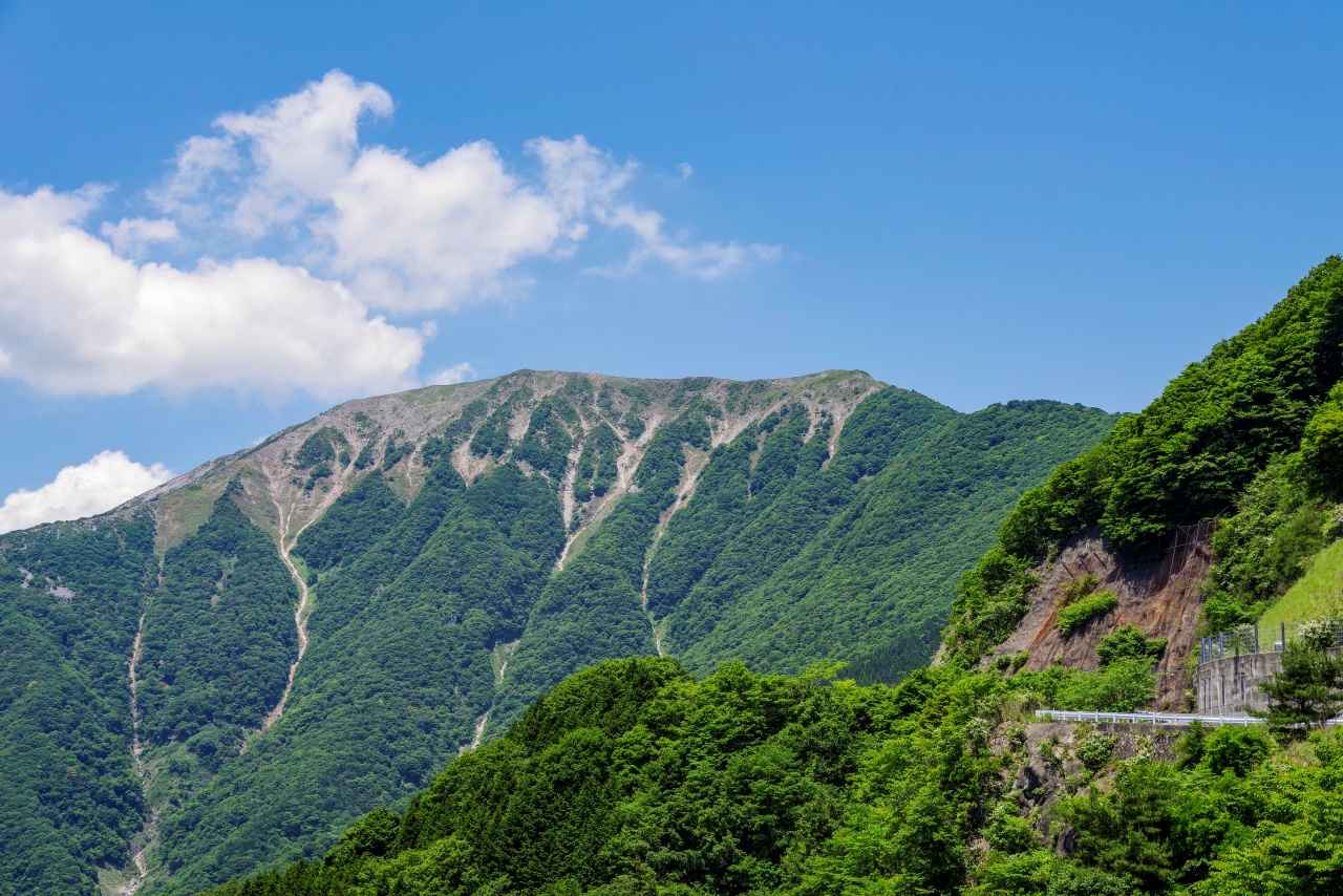 画像1: 関西の日帰りドライブスポット10選。絶景・グルメ・穴場で“心を整える”大人の休日