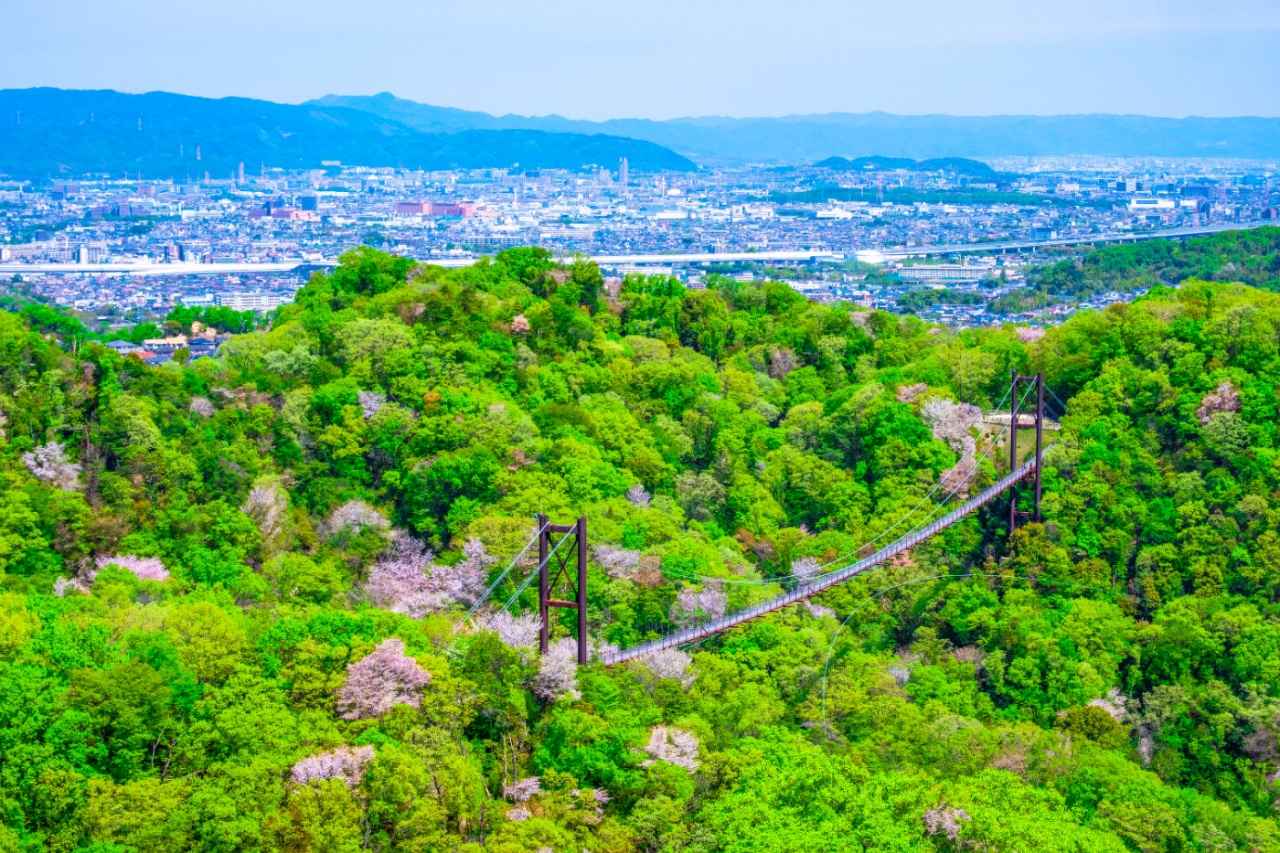 画像16: 関西の日帰りドライブスポット10選。絶景・グルメ・穴場で“心を整える”大人の休日