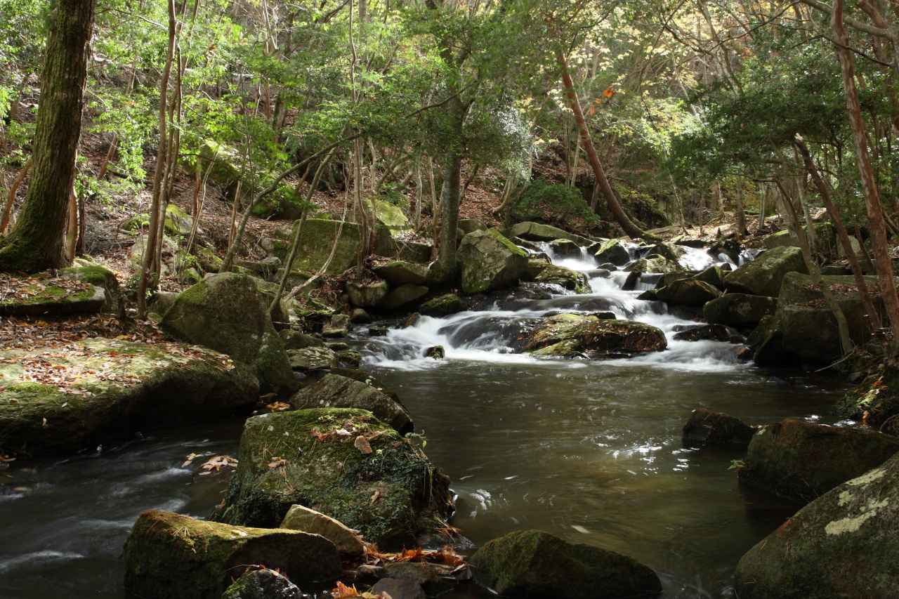 画像5: 関西の避暑地9選！日帰りや宿泊におすすめの涼しい定番・穴場スポットを厳選