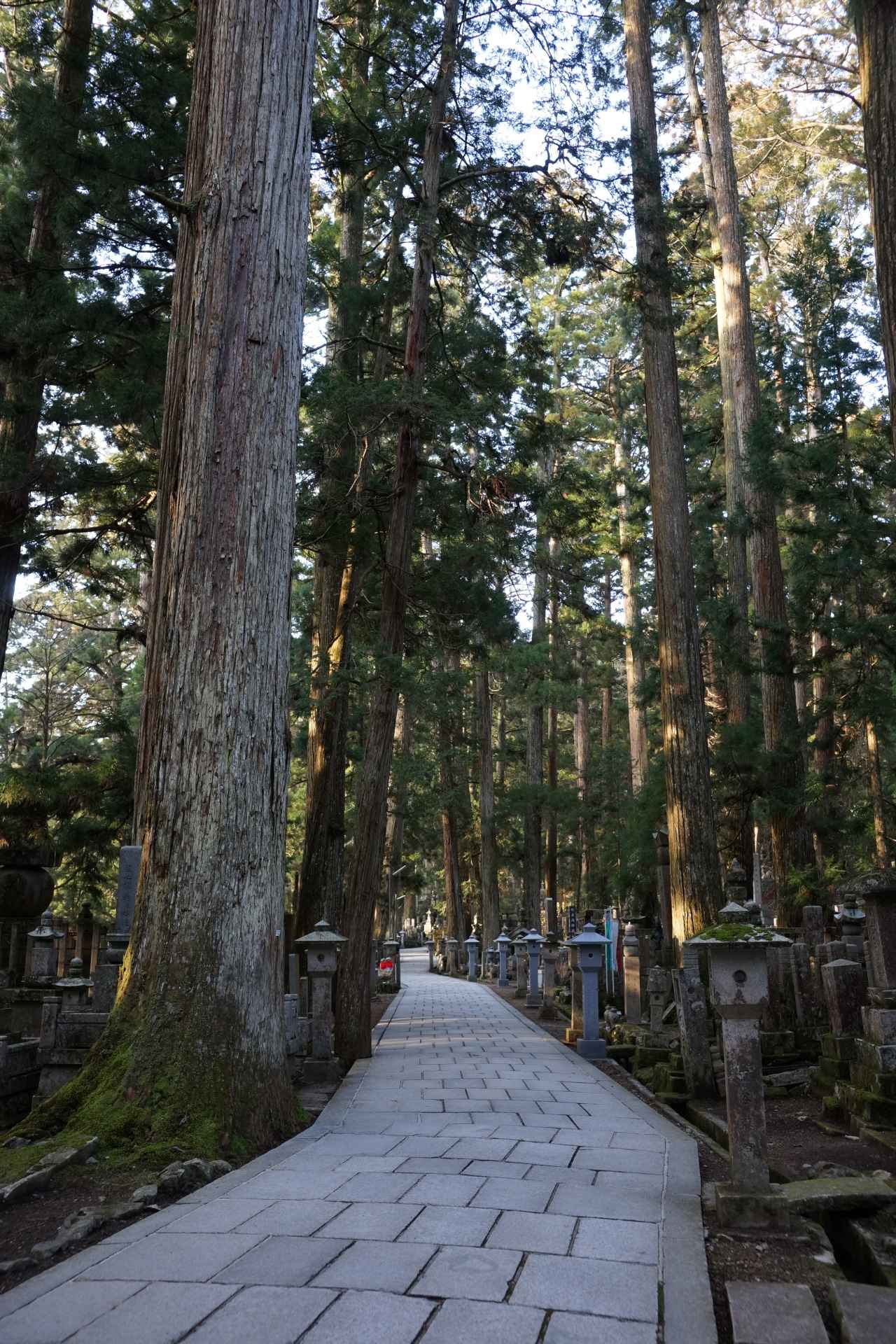 画像1: 関西の避暑地9選！日帰りや宿泊におすすめの涼しい定番・穴場スポットを厳選