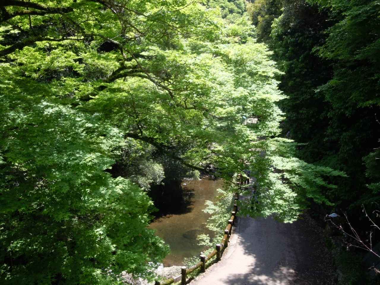 画像7: 関西の避暑地9選！日帰りや宿泊におすすめの涼しい定番・穴場スポットを厳選
