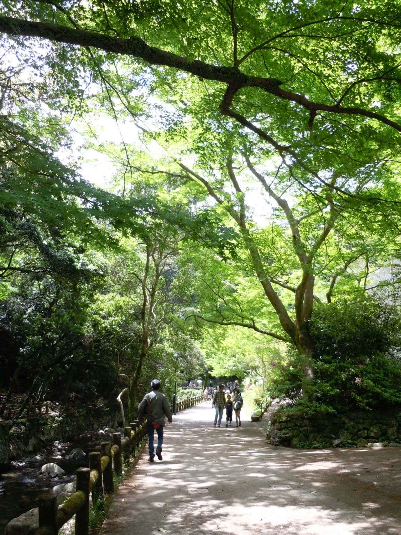 画像8: 関西の避暑地9選！日帰りや宿泊におすすめの涼しい定番・穴場スポットを厳選