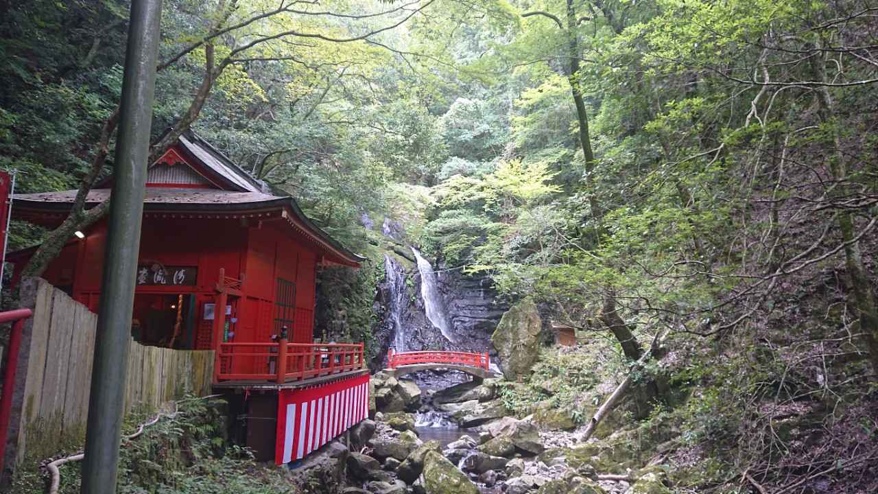 画像: 【大阪】犬鳴山｜市内から1時間の秘境。修験の息吹が残る、神秘の渓谷
