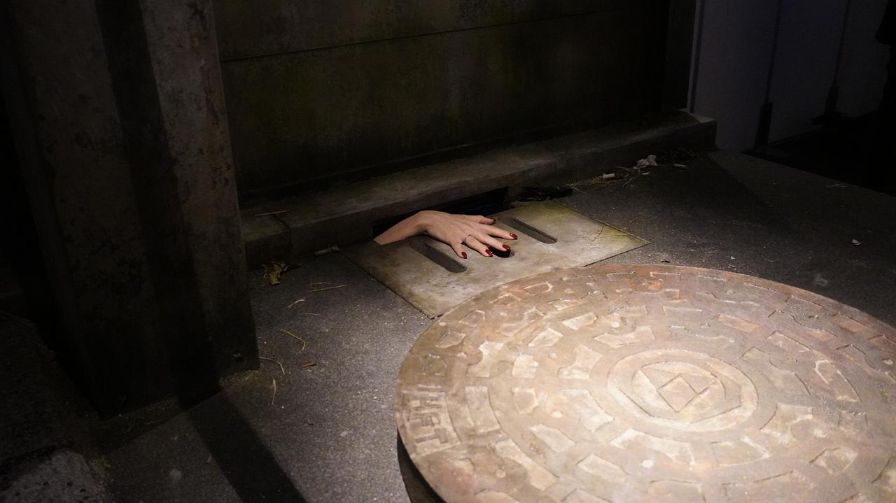 画像: マンホールに棲むもの