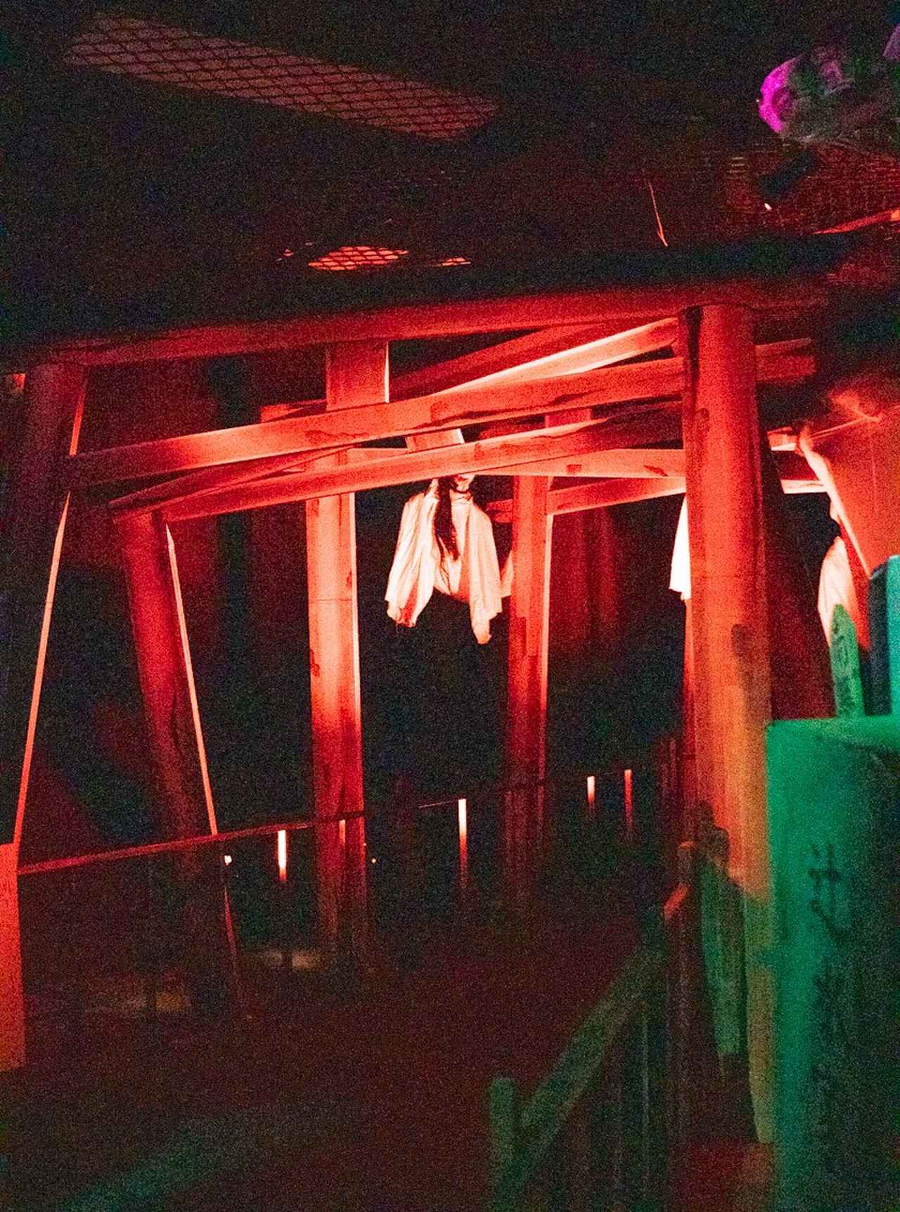 画像2: 本展の会場内の様子