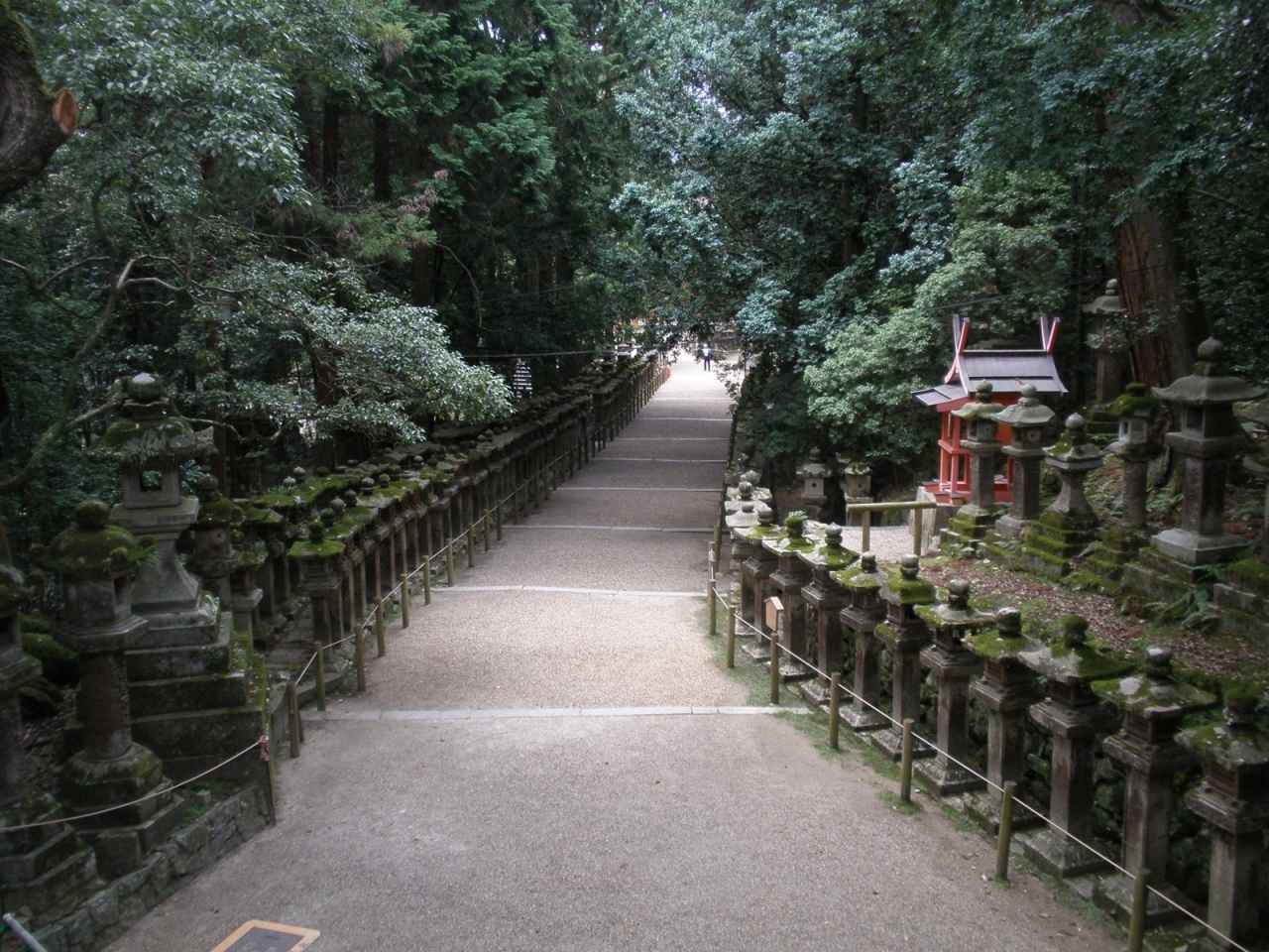 画像: 境内の参道(御間道)