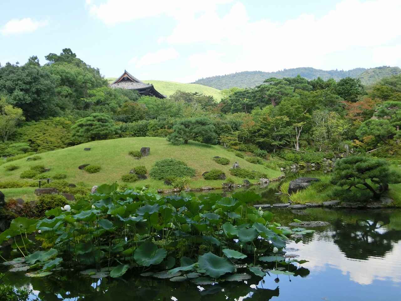 画像: 夏の後園