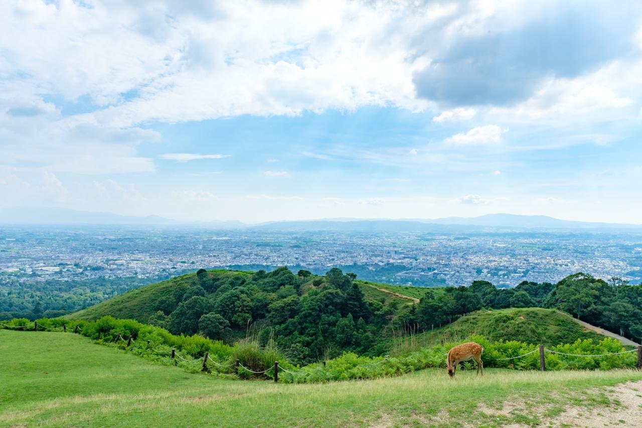 画像1: 若草山|絶景スポットで昼はハイキング、夜は夜景を楽しむ