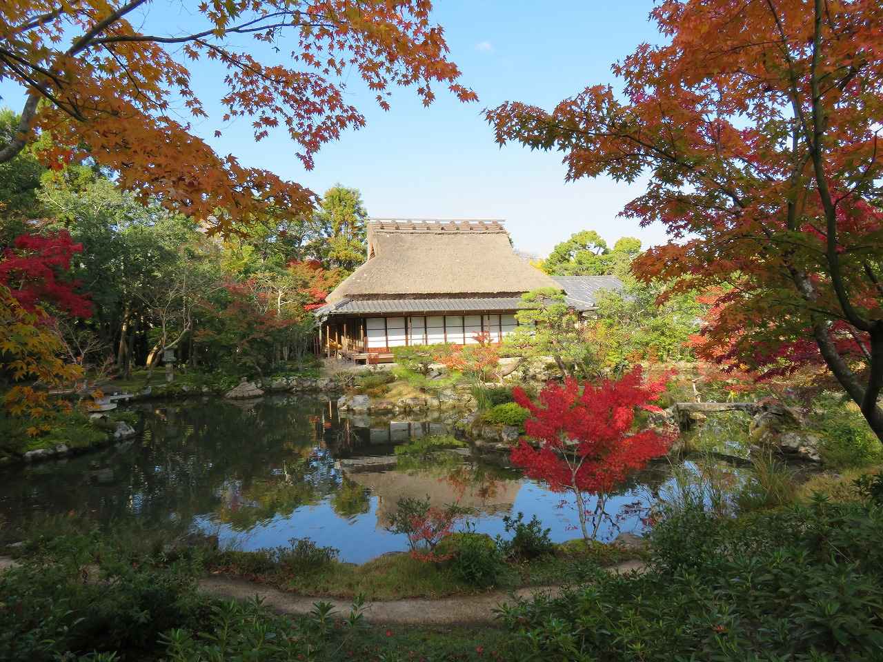 画像: 秋の前園