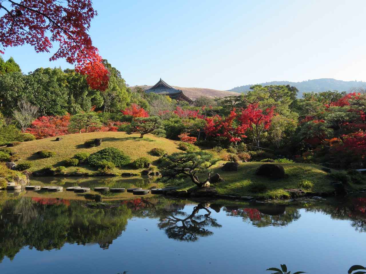 画像: 秋の後園