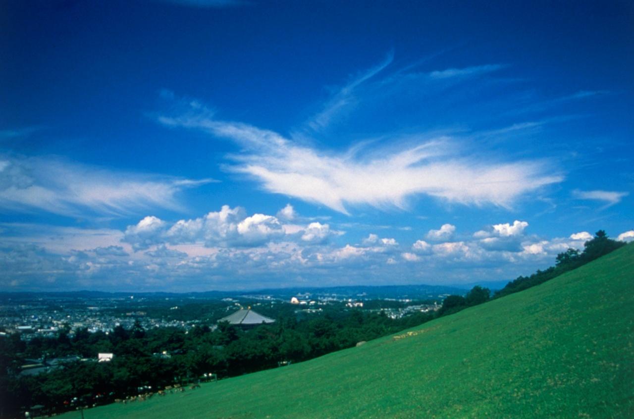 画像1: 写真提供:一般財団法人 奈良県ビジターズビューロー