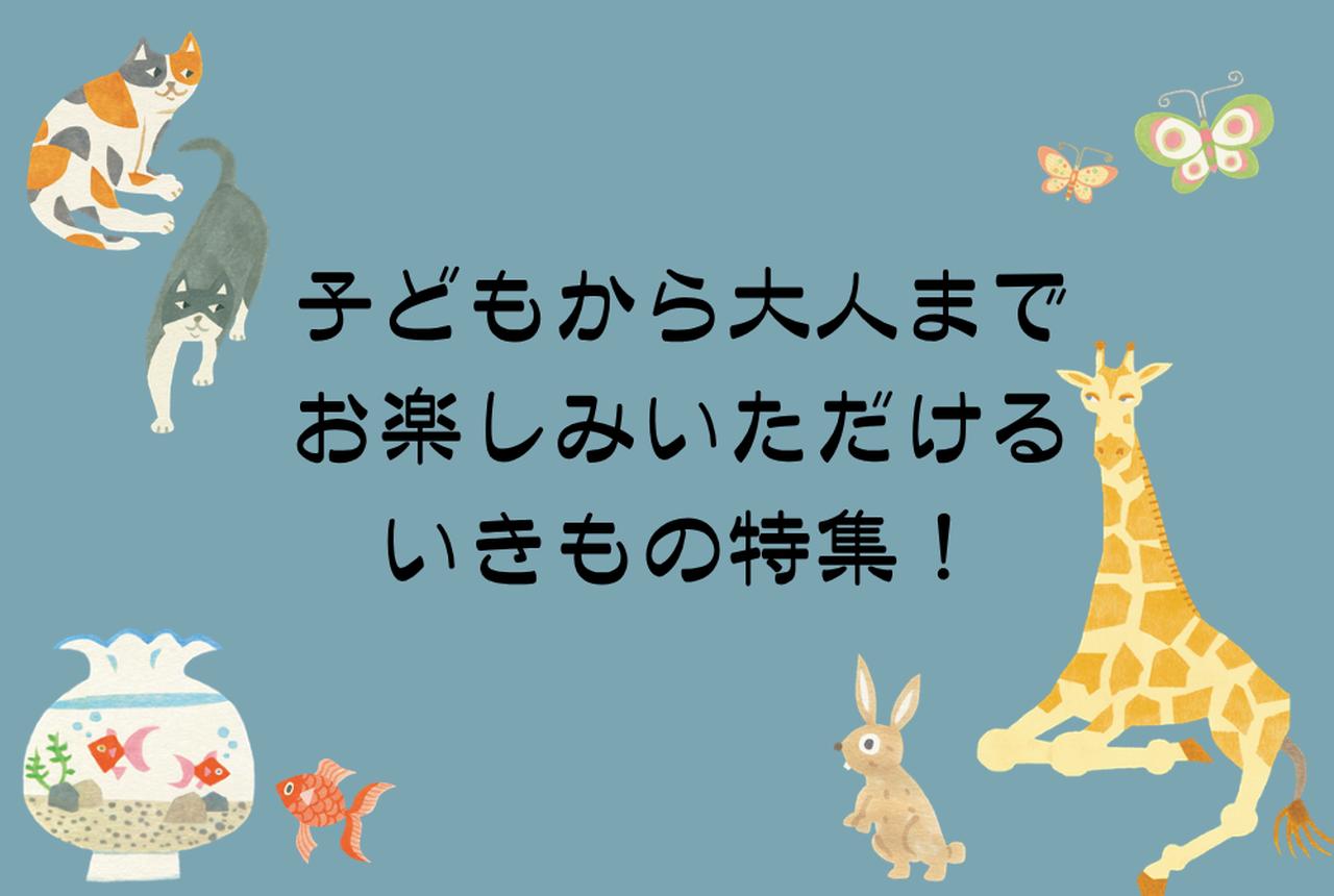 画像2: 【週末どこいく？】夏のおうち時間を彩る、暮らしのものと出会えるイベント3選！