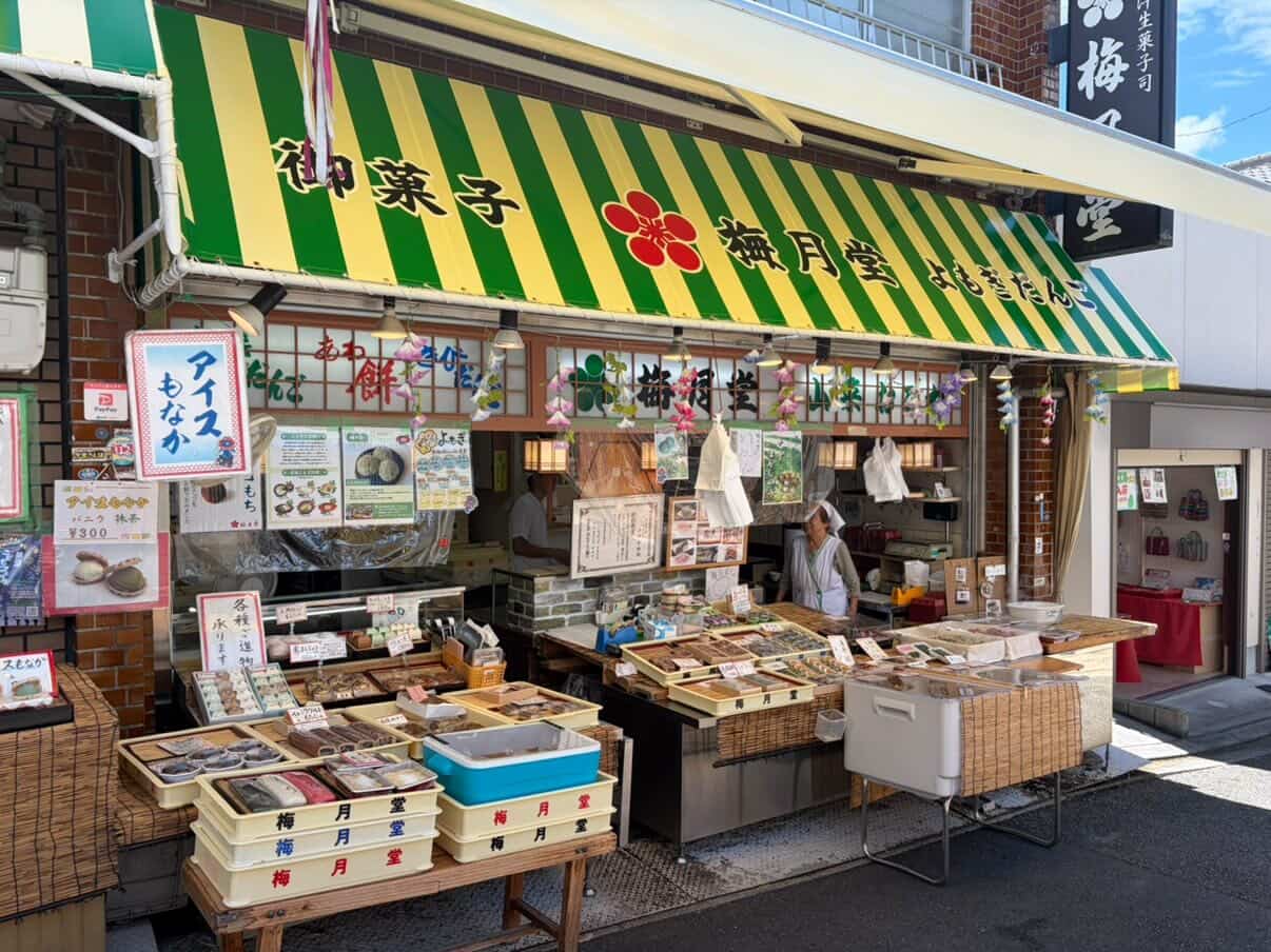 画像1: 梅月堂|湯気の上がる山菜おこわを向かいのベンチで頬張る