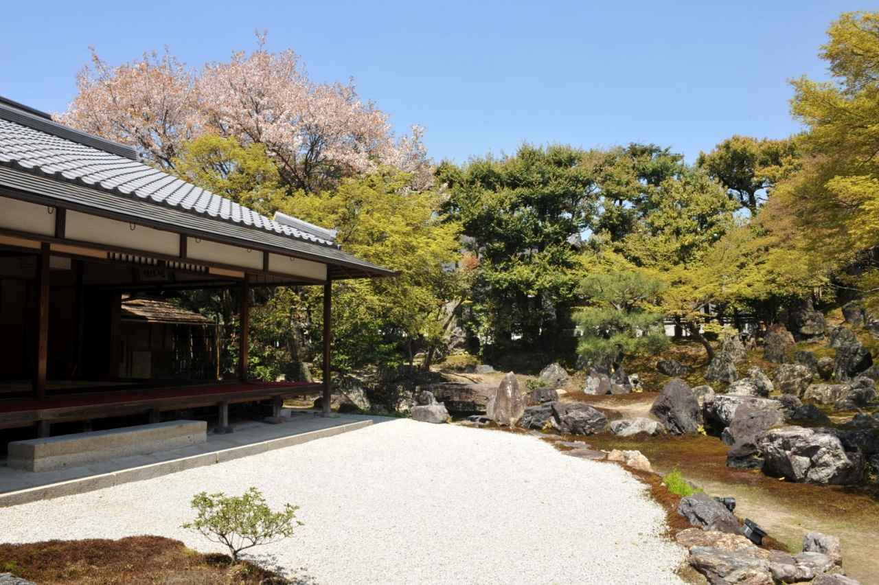 画像2: 圓徳院｜北政所（ねね）が晩年を過ごした屋敷で襖絵と枯山水の北庭を眺める
