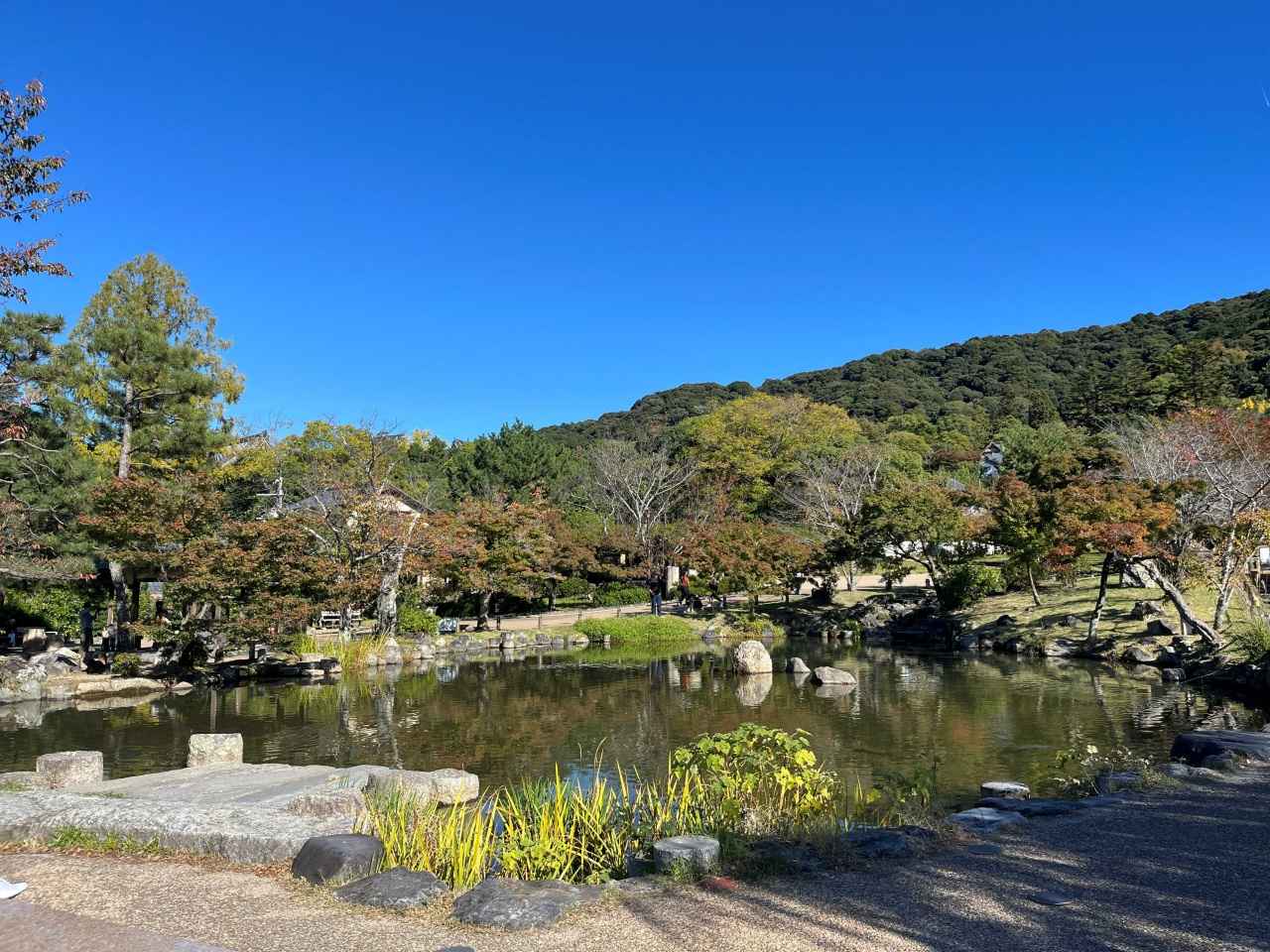 画像1: 円山公園｜祇園しだれ桜が池畔を彩る京都市最古の公園