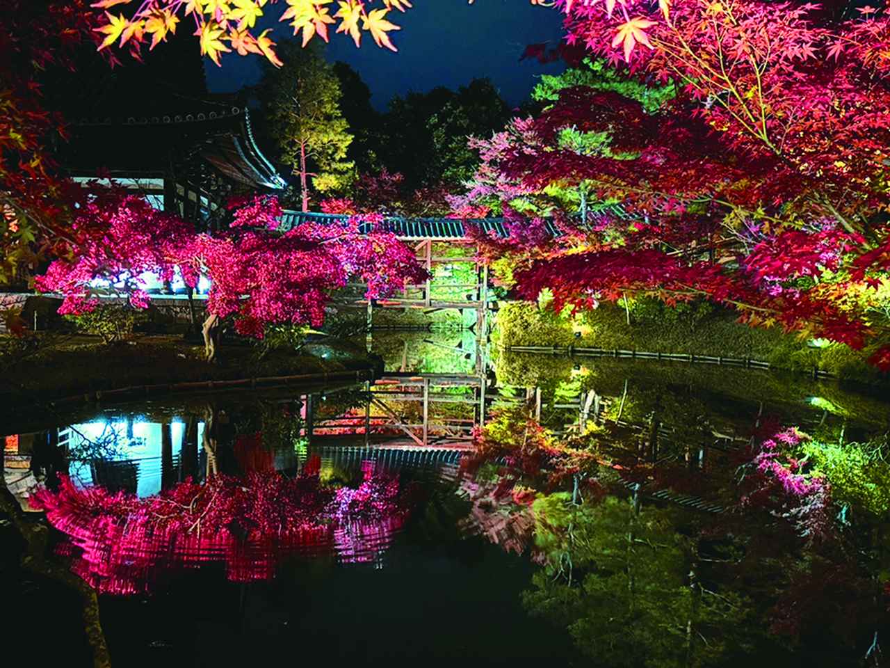 画像2: 高台寺｜北政所（ねね）ゆかりの寺で庭園と竹林の小径を歩く