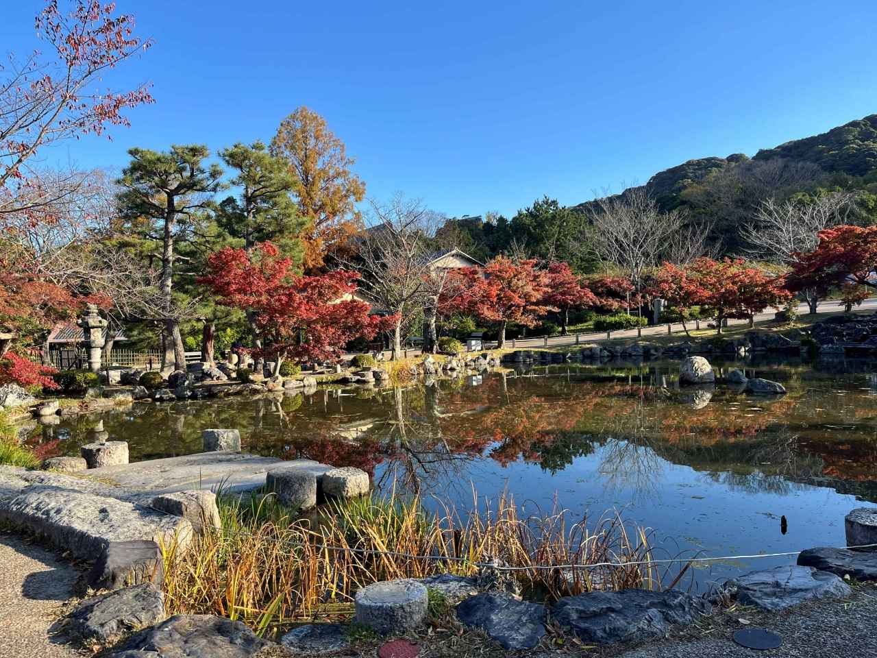 画像3: 円山公園｜祇園しだれ桜が池畔を彩る京都市最古の公園