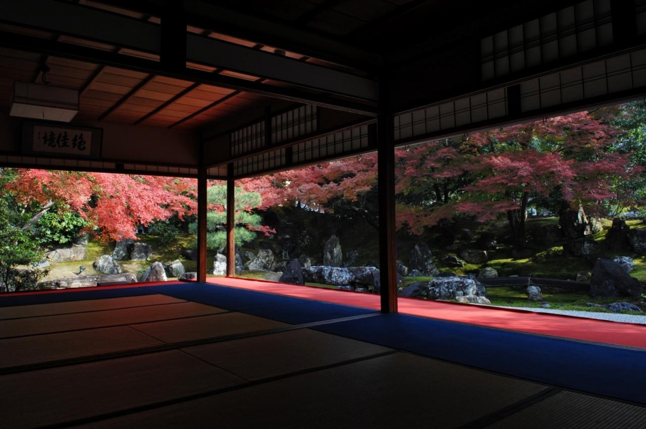 画像1: 圓徳院｜北政所（ねね）が晩年を過ごした屋敷で襖絵と枯山水の北庭を眺める