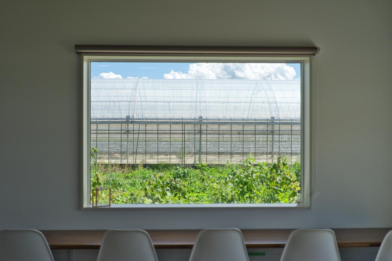 画像: いちご農家Cafe Goccia｜農園直送スイーツで花めぐりの合間に寄り道
