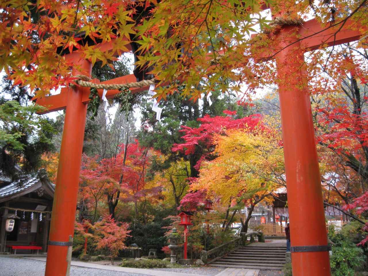 画像: 鍬山神社｜知る人ぞ知る紅葉の名所で秋を感じる