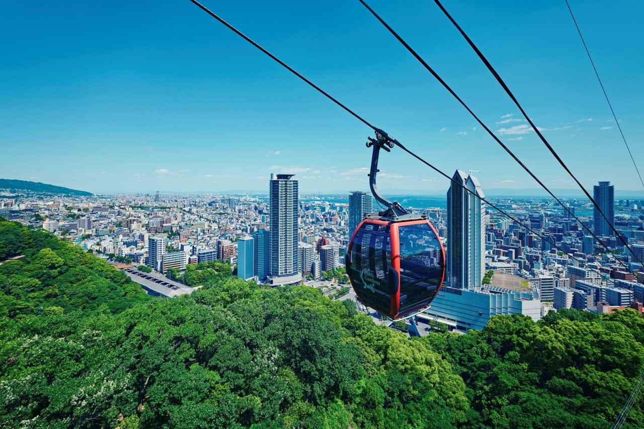 画像2: 神戸布引ハーブ園｜ロープウェイで空中散歩して丘一面のハーブ畑へ