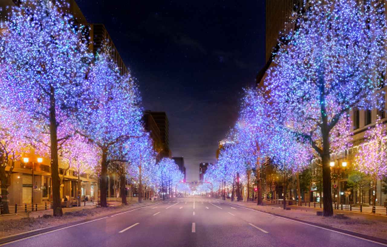 画像: 御堂筋イルミネーション ※イメージ ©Festival of the Lights in Osaka Executive Committee