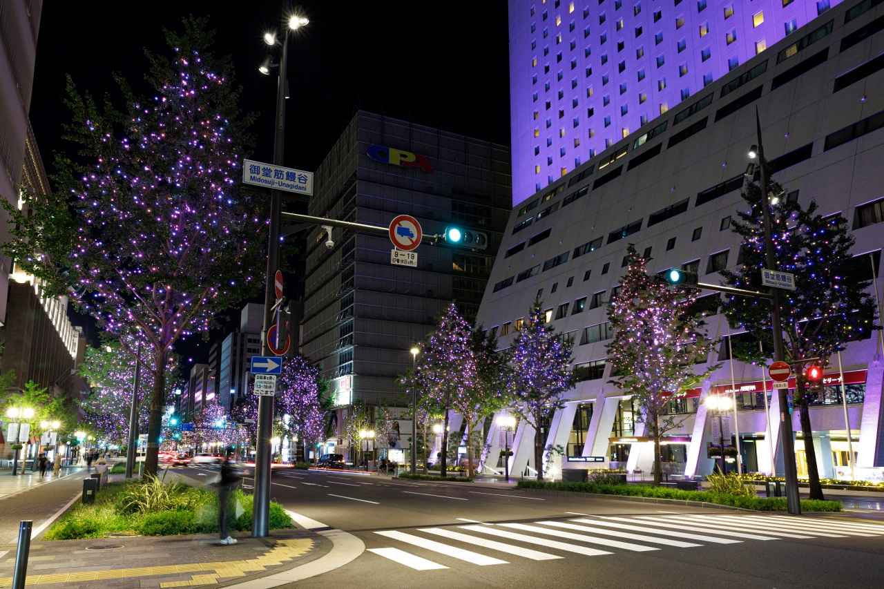 画像: 御堂筋イルミネーション:御堂筋鰻谷~御堂筋三津寺町 ※2025年度の様子 ©Festival of the Lights in Osaka Executive Committee