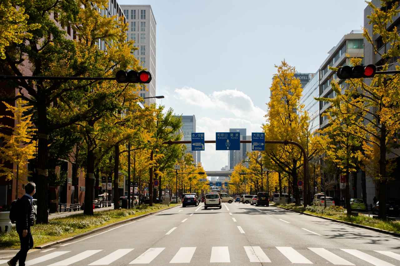 画像: 御堂筋 イチョウ並木 ©Osaka Convention & Tourism Bureau