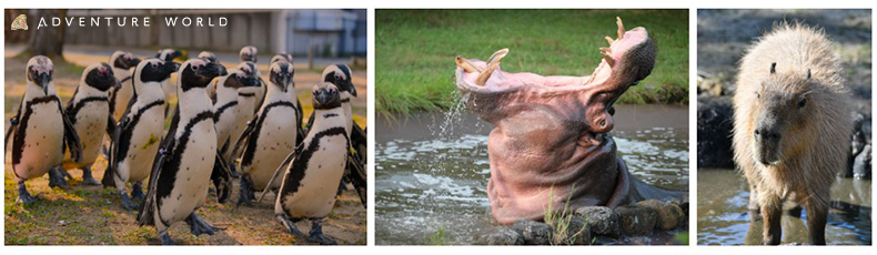 画像: ※写真はイメージです。 ※天候や動物の体調により、内容は変更となる可能性がございます。