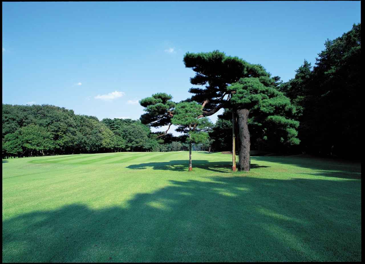 画像: 距離は短くても戦略的なコースにできる、という見本になりそうな小金井CCの10番ホール