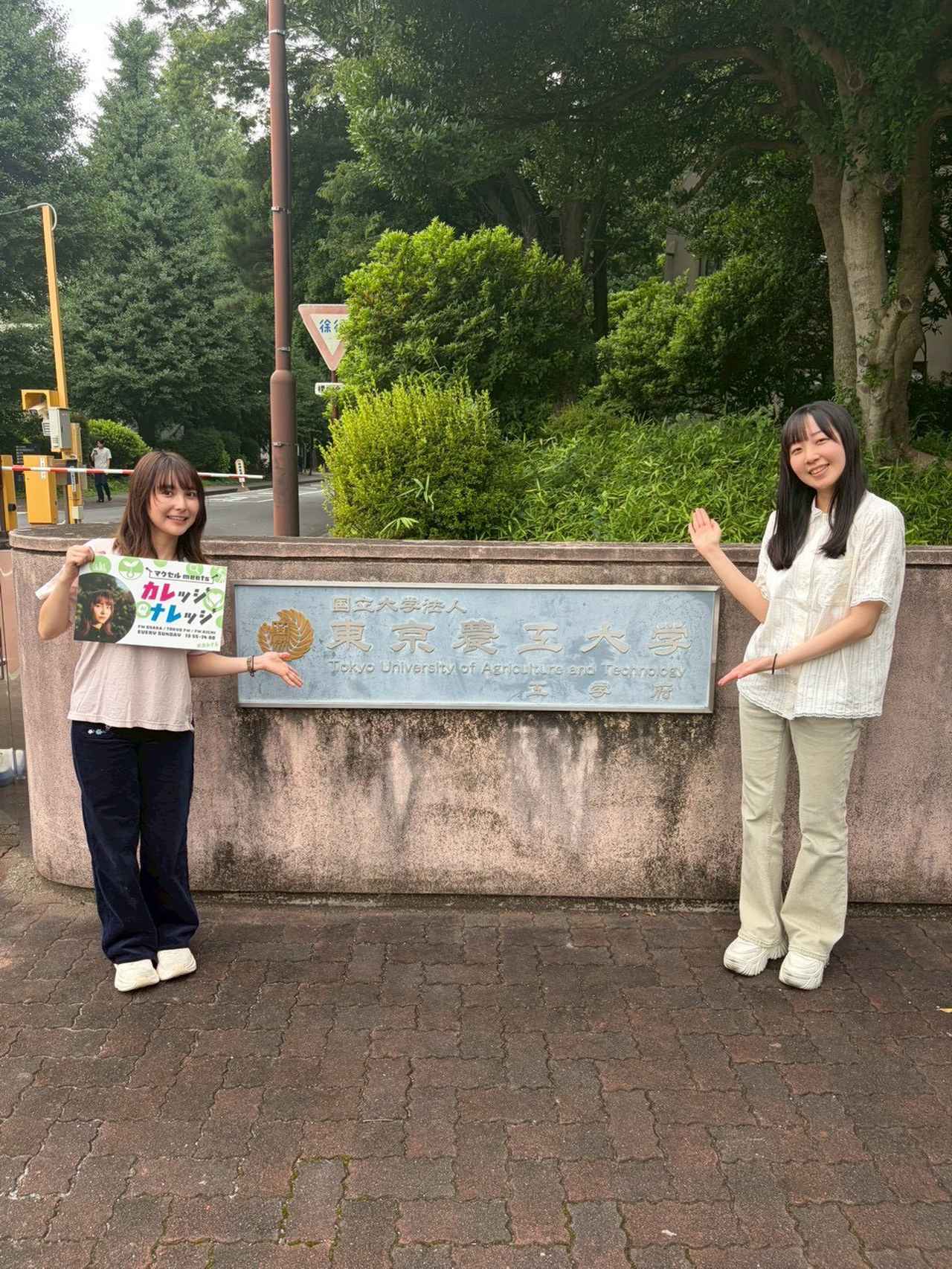 画像2: 8/16(日)東京農工大学 3週目