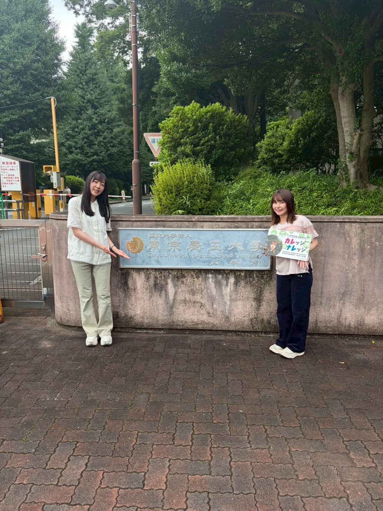 画像: 8/23(日)東京農工大学 3週目