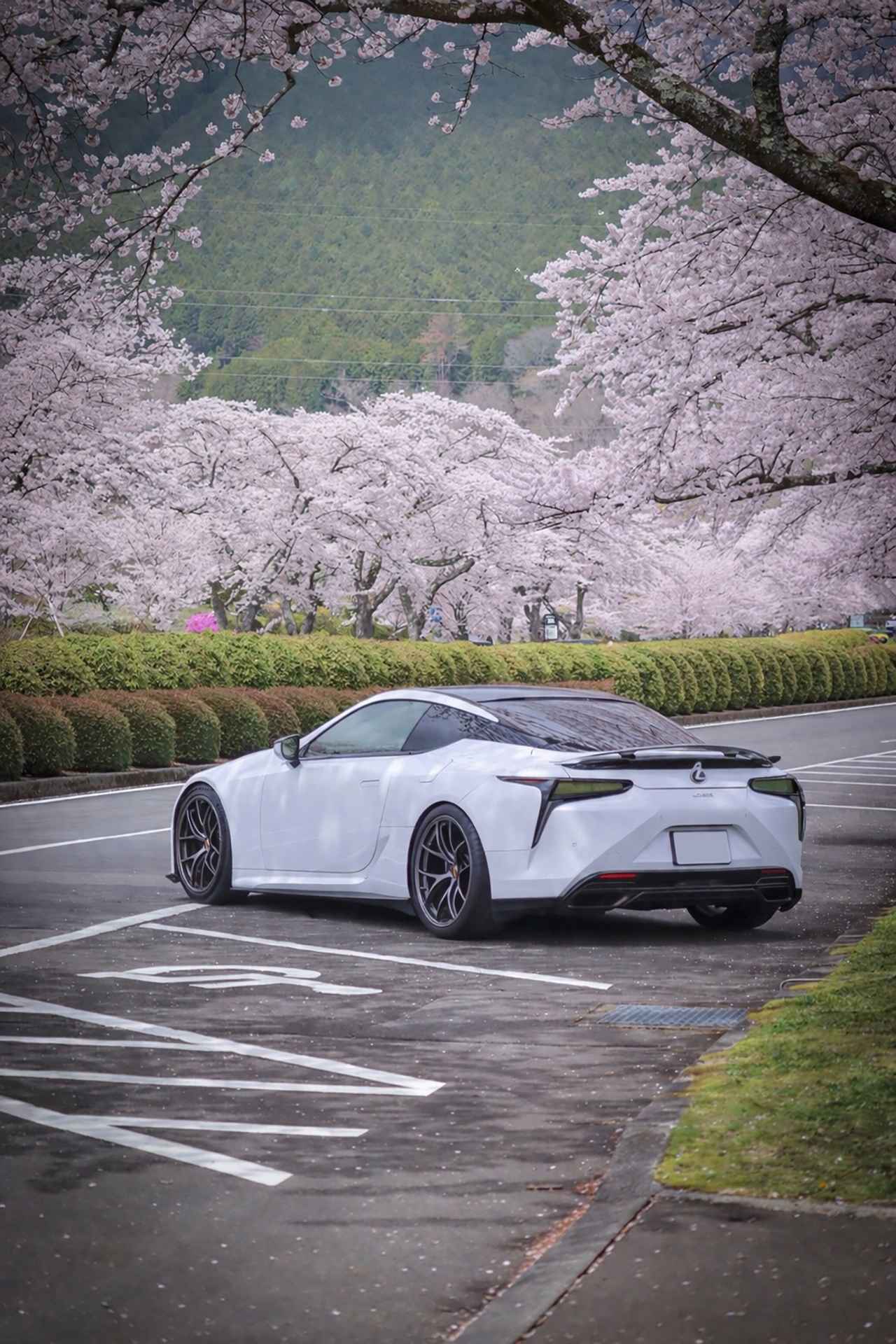 画像 : 25番目の画像 - 【写真30枚】BBS PHOTO CONTEST 2026 ファイナリスト作品 - OKINIIRI