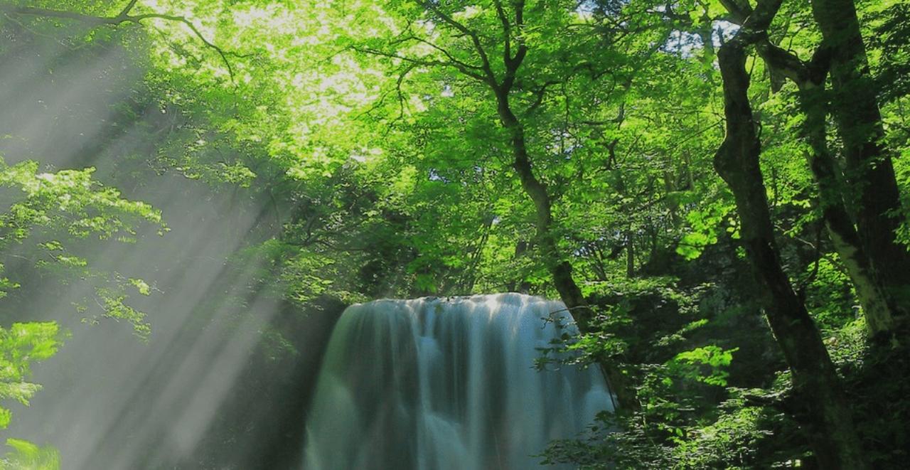 電池リサイクル - 日立グローバルライフソリューションズ株式会社