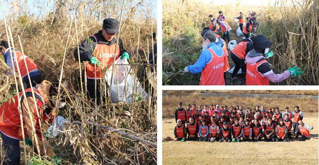 画像: 外来植物除去活動の様子および集合写真