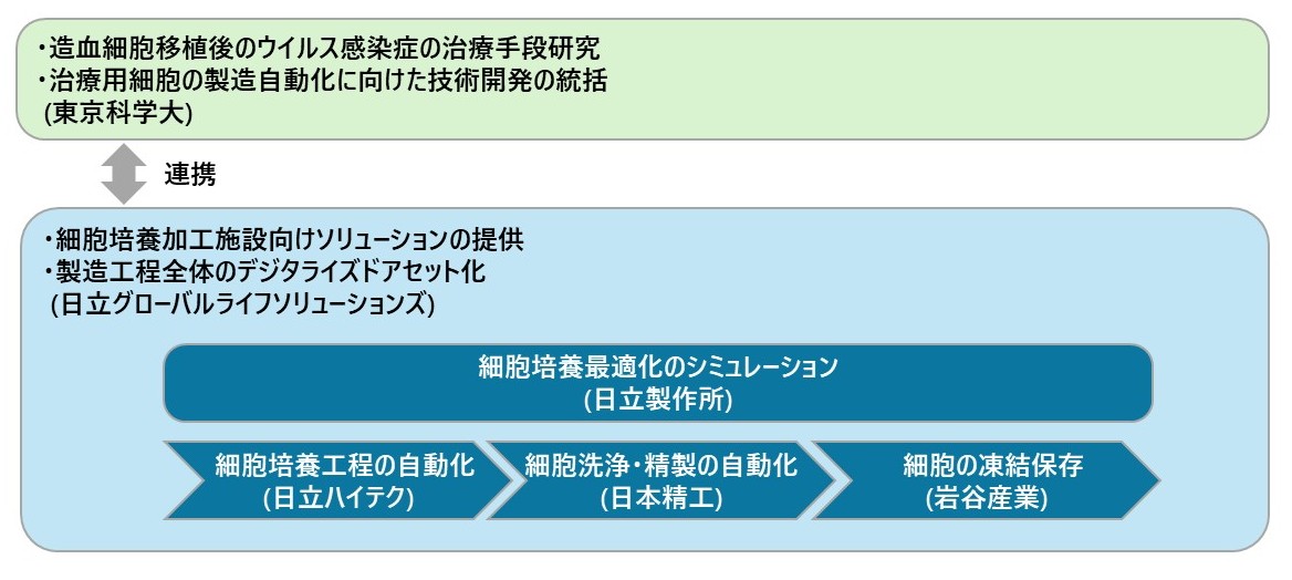ウイルス感染症の治療手段として、東京科学大学が進める研究において