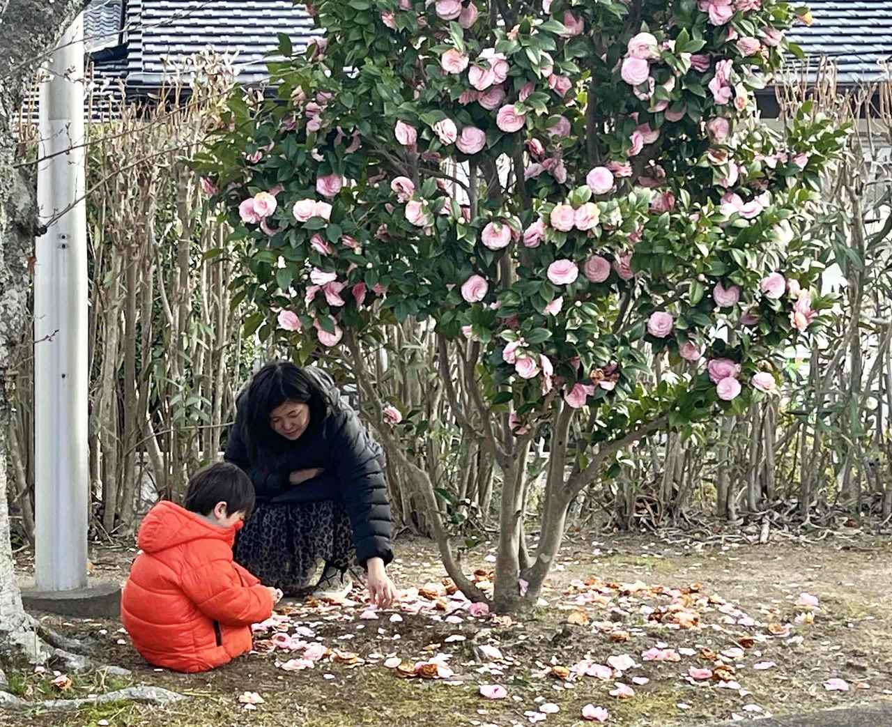 画像2: 吉田恵里香さん（脚本家・小説家）の「根ほり花ほり10アンケート」
