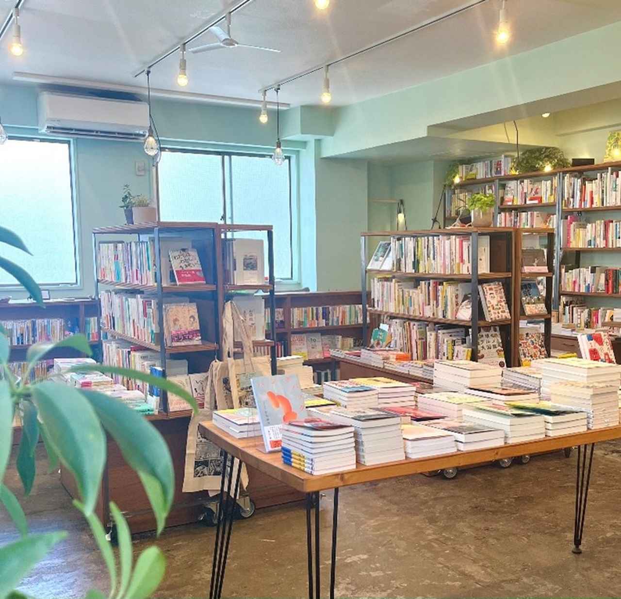 画像1: 花田菜々子さん（本屋「蟹ブックス」店主）の「根ほり花ほり10アンケート」
