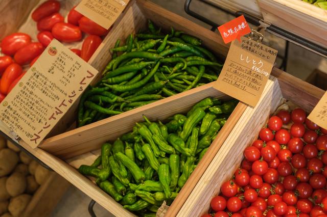 野菜の物語を伝える接客に、フードロスを防ぐアイス。畑と食卓をつなぐ