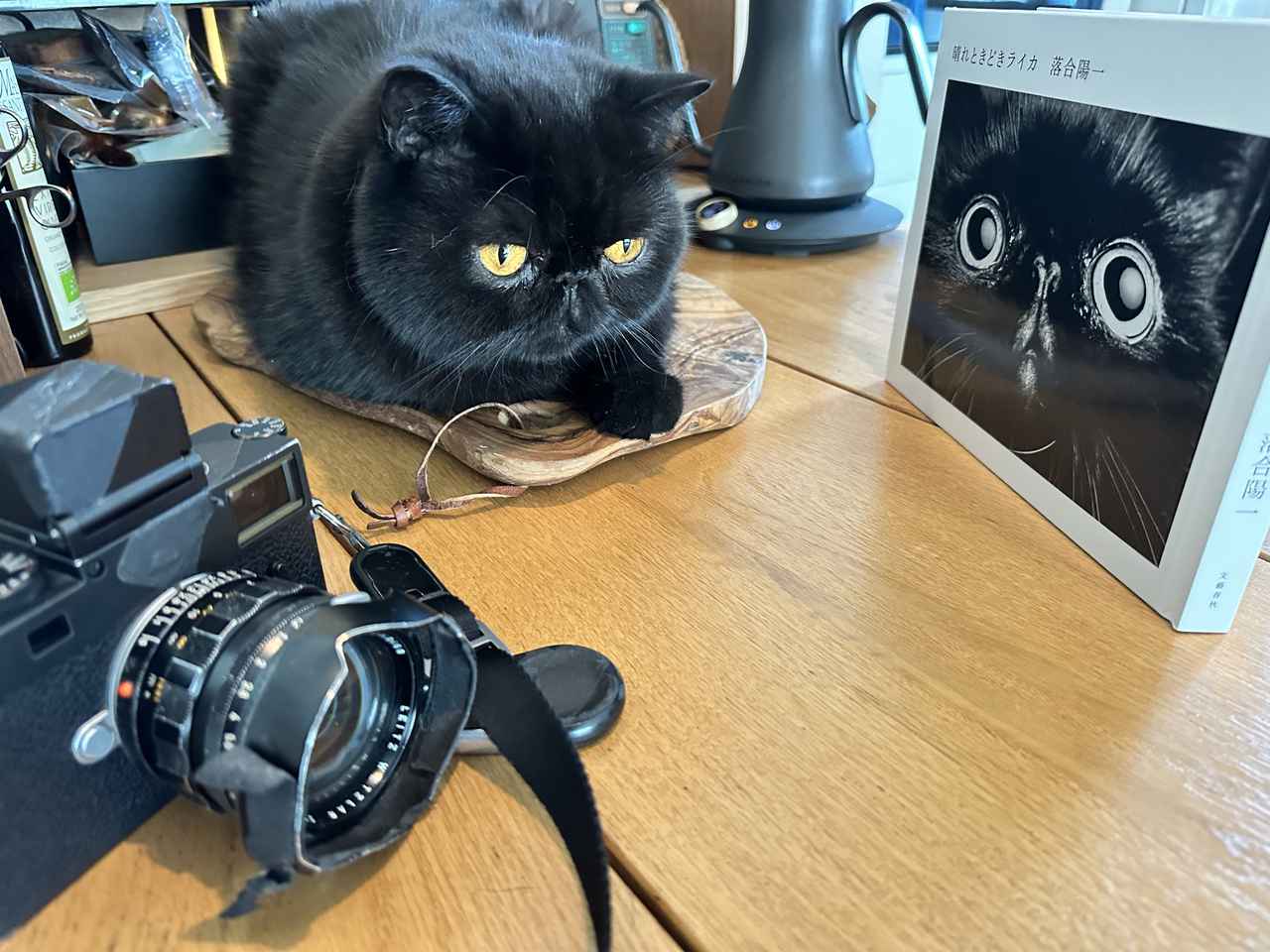 画像2: 毎年2つ3つ、好きなものが増えていく