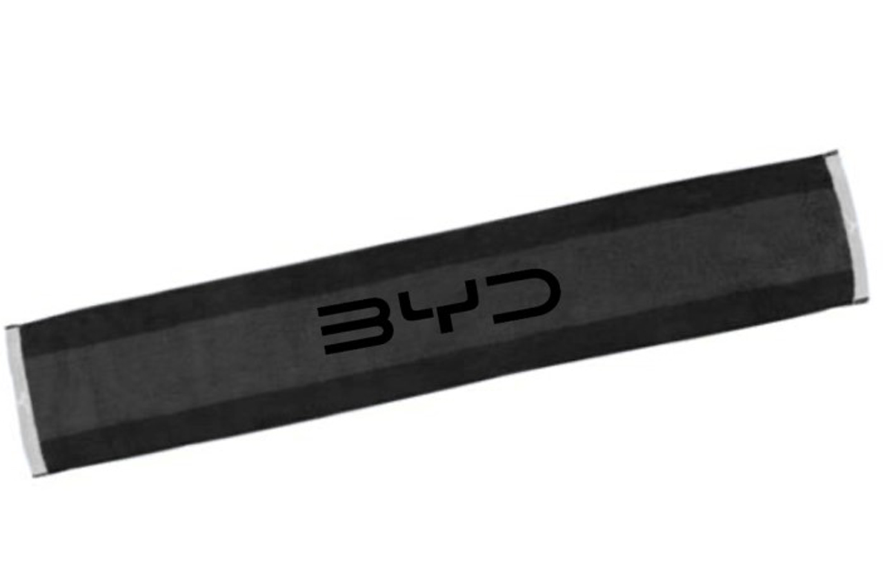 画像 : 7番目の画像 - ありかも、BYD Park！ - スマートモビリティJP