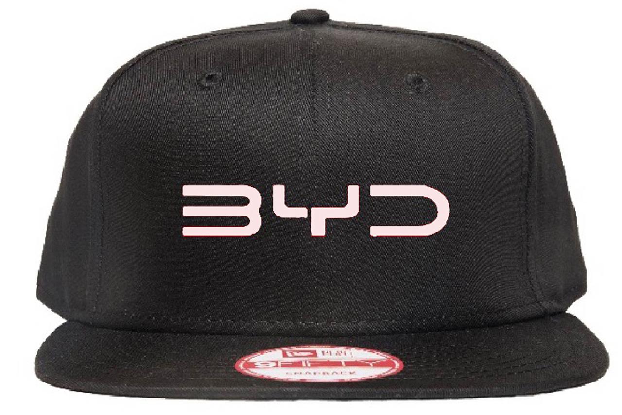 画像 : 4番目の画像 - ありかも、BYD Park！ - スマートモビリティJP