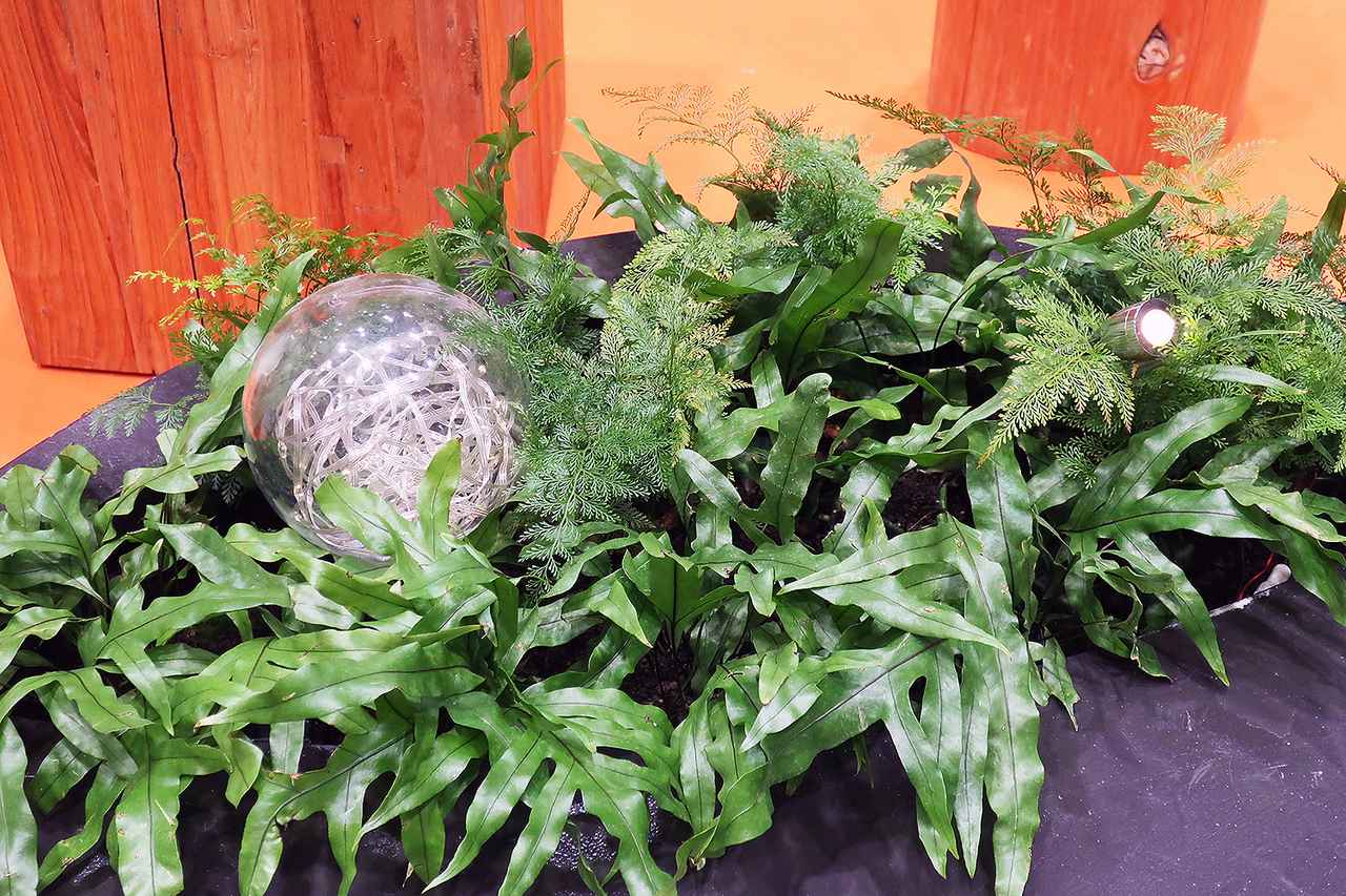 画像 : 7番目の画像 - 東京GXのグリーントランスフォーメーション技術 - スマートモビリティJP