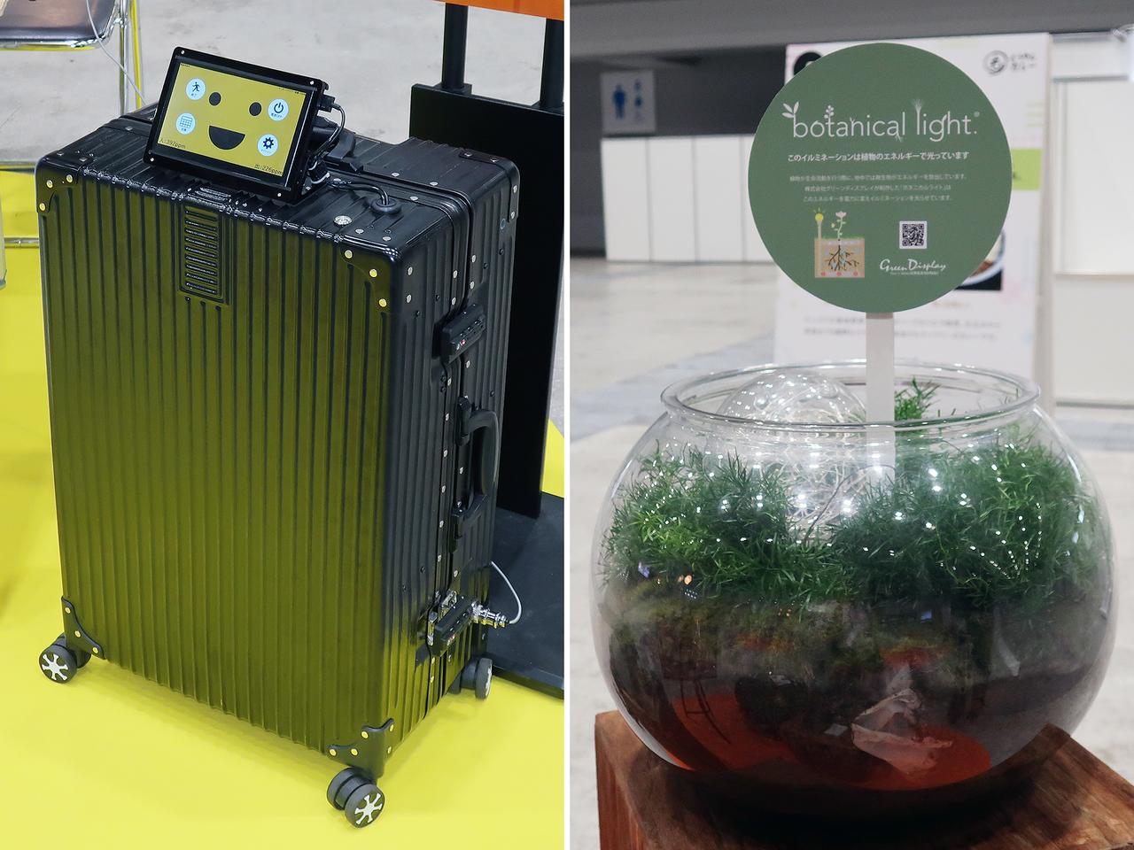 from CO2おまとめ 東京GX】CO2を回収したり、植物で発電など、ユニークなグリーン