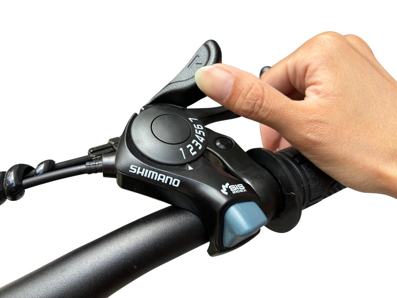 画像 : 8番目の画像 - STYLE e-BIKE - スマートモビリティJP