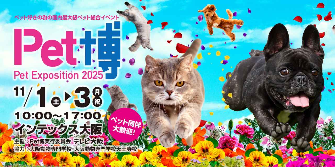 画像: プレゼント