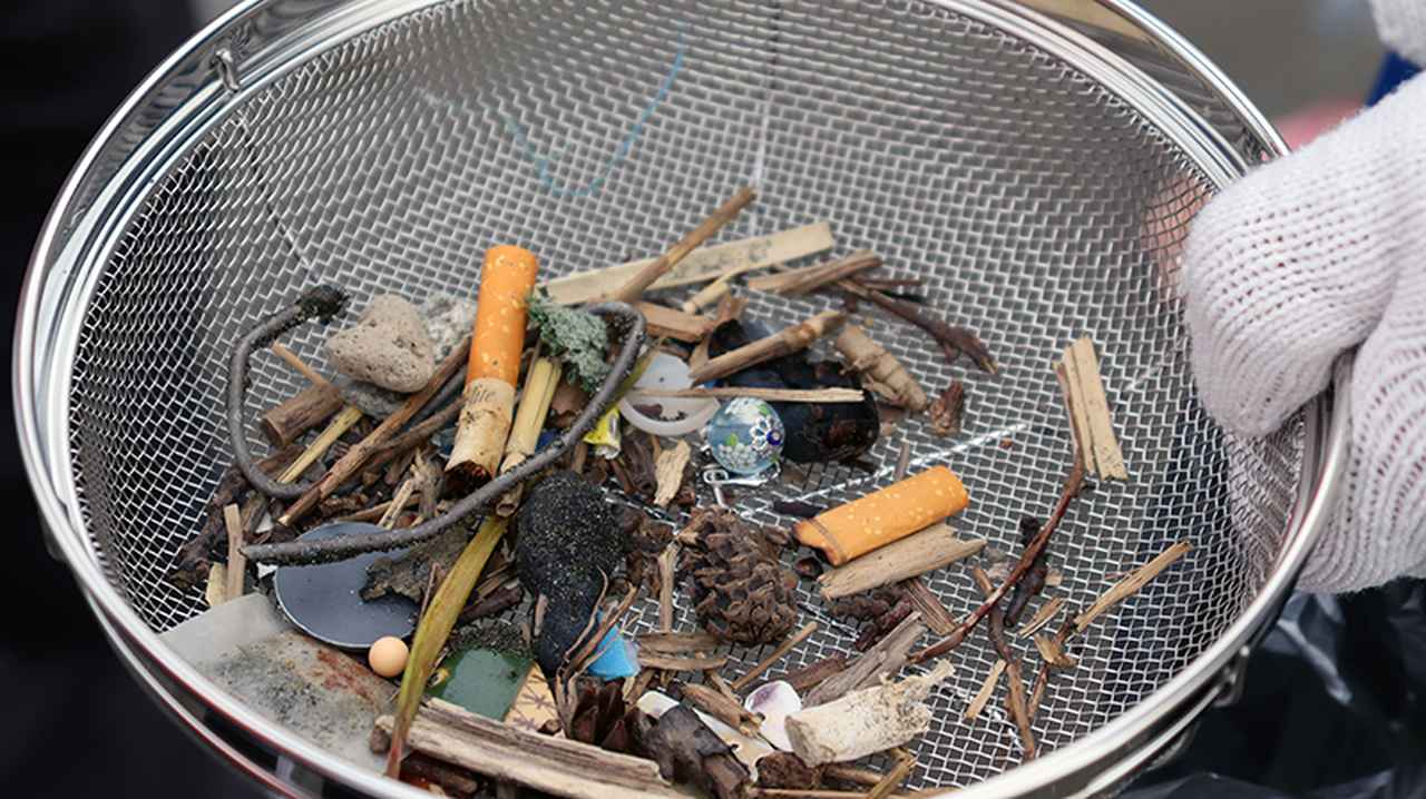 画像: いろいろなごみがありました。