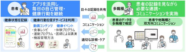 画像: 本検討の詳細について
