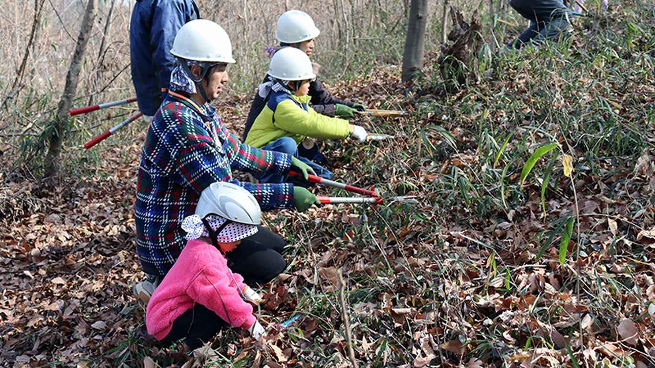 画像: 親子班は安全確保のため伐採する木の周りの草を刈ります