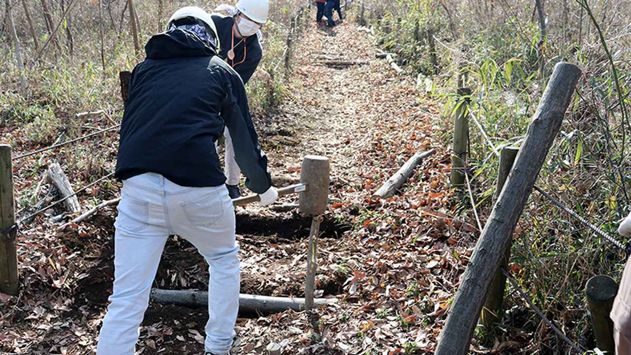 画像: 丸太を横向きに配置して杭で固定して階段を作ります